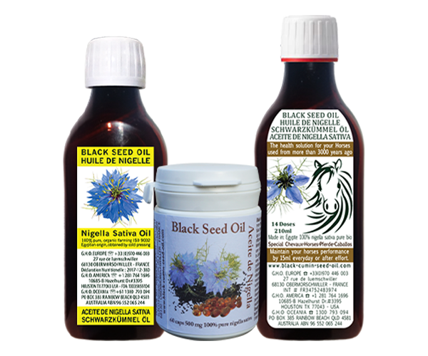 Linha de produtos de óleo de cominho-preto composta por um frasco de 200 ml de óleo líquido para humanos, uma caixa com 60 cápsulas e um frasco de 210 ml formulado para cavalos.
