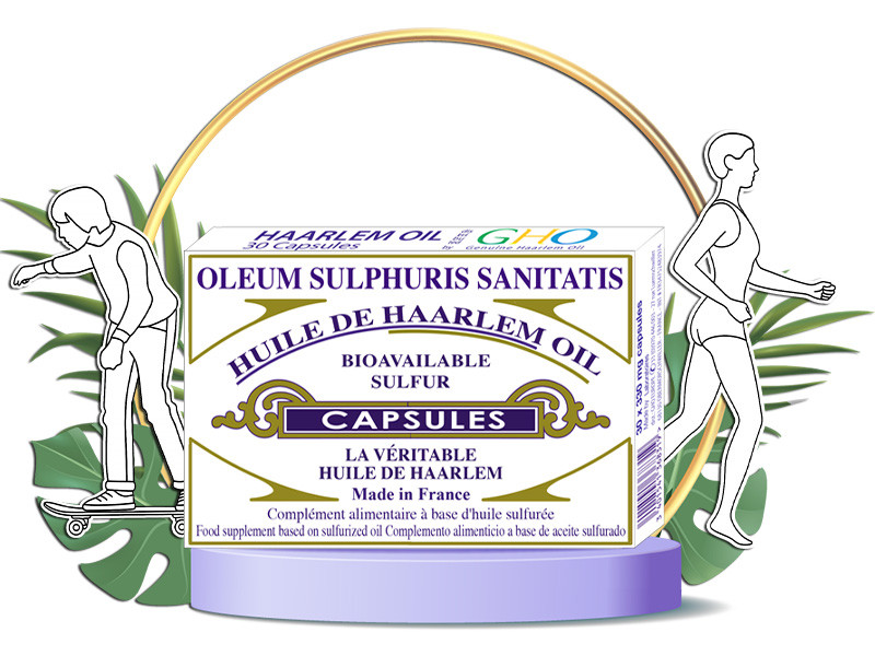 Box of 30 GHO Haarlem Oil capsules with active lifestyle illustrations