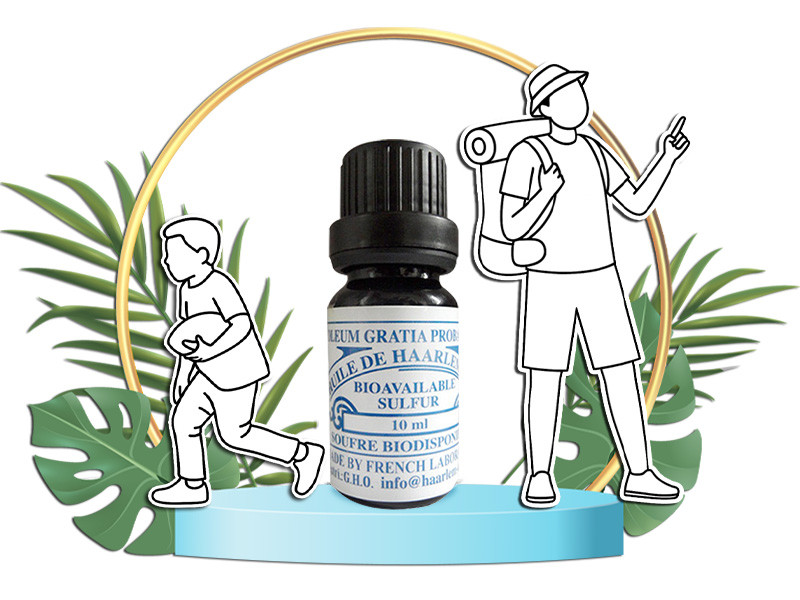 10 ml bottle of GHO Haarlem Oil for humans with illustrations of outdoor activities