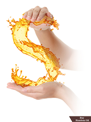 Illustration of hands framing a flowing golden symbol representing sulphur (S), highlighting the traditional and natural formula of Haarlem Oil.
