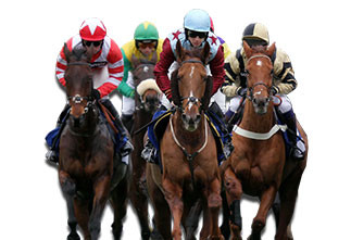 24 bottles of 200ml of 20 doses