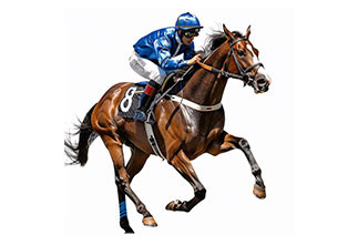 2 flaschen mit je 210ml (pro Flasche: 14 Dosen)